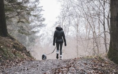 Wie du deine Produktivität beim Konzepte ausarbeiten durch die Flow-Methode ‚Brainwalk‘ signifikant steigern kannst